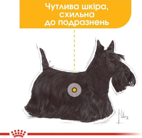 Консерва Royal Canin для собак DERMACOMFORT LOAF (Ол Сайзес Дермакомфорт), пауч, 85 г