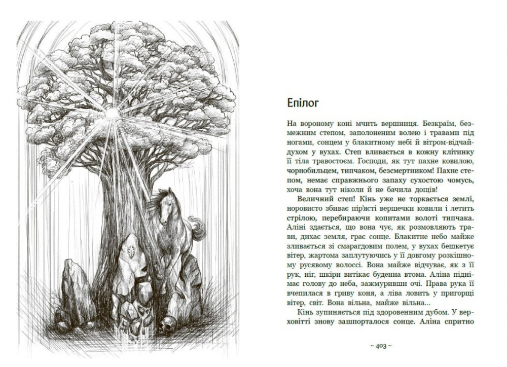 Книга Дара Корній «Гонихмарник» 978-617-098-808-9