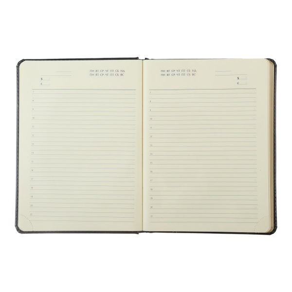 Щоденник недатований SALERNO синій Buromax A5 2023