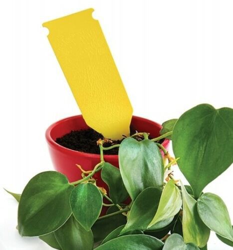 Средство Papirna-Moudry от насекомых Желтые клеевые ловушки FloraBand 5 шт.