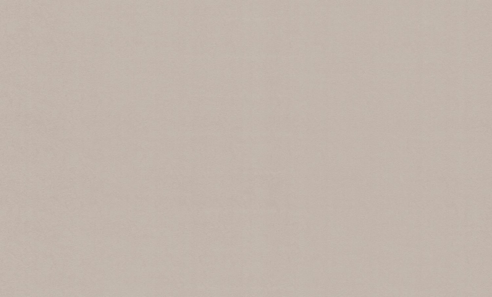 Шпалери вінілові на флізеліновій основі WallCOLOR W 151 C 04 1,06x10,05 м