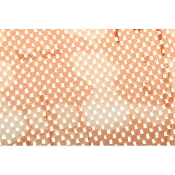 Коврик для ванной Woko Ракушка 65x47 см коричневый