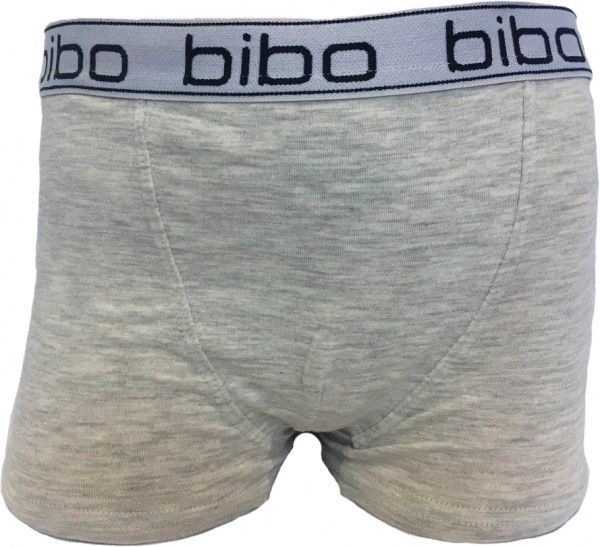 Трусы для мальчиков Bibo р.152 серый 24005 