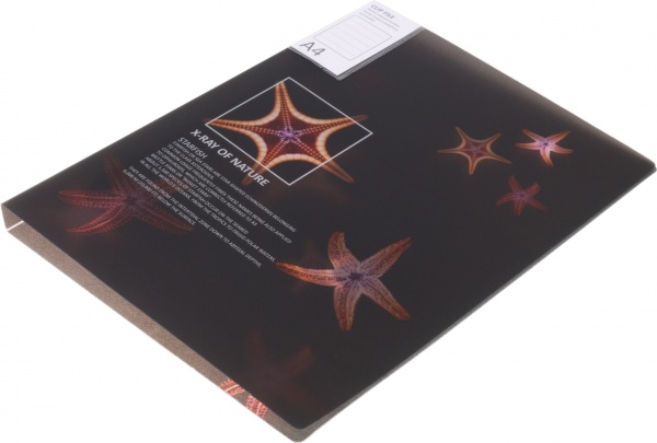 Папка Калейдоскоп А4 в ассортименте Optima