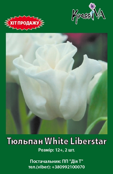 Луковица KrassIVA тюльпан White Liberstar 2 шт. 