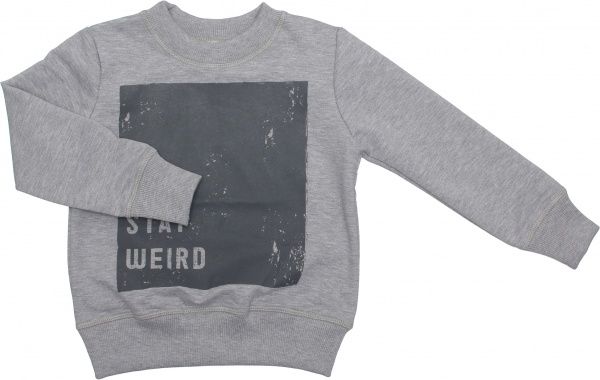 Свитшот Маленькие люди 4 р.116 серый 