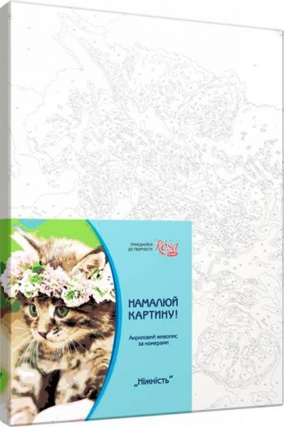 Набор, техника акриловая живопись по номерам Нежность Вентс 