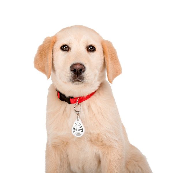 Ультразвуковой отпугиватель WAUDOG от клещей и блох