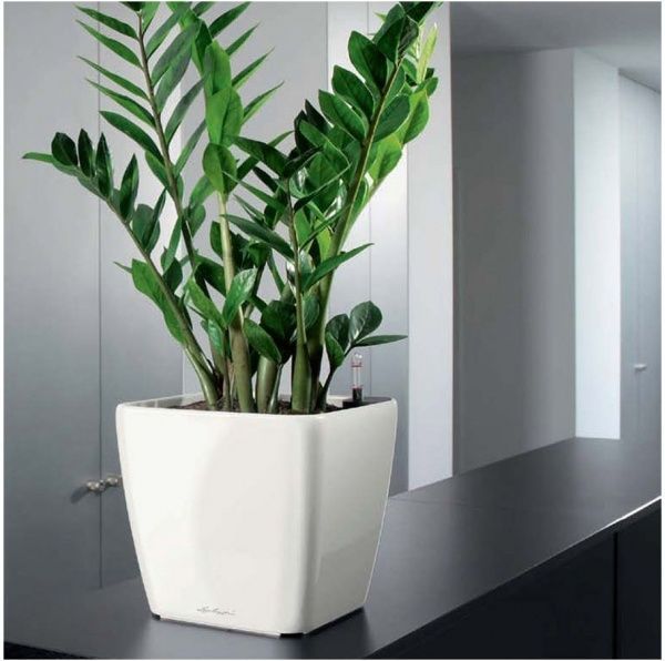 Вазон пластиковий Lechuza Quadro Premium LS 28 квадратний 19,7л білий 