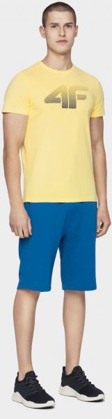 Футболка 4F NOSD4-TSM302-73S L лимонный