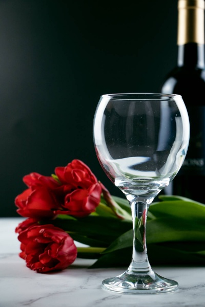 Набор бокалов для вина VS-1260 Misket 260 мл 6 шт. Versailles 