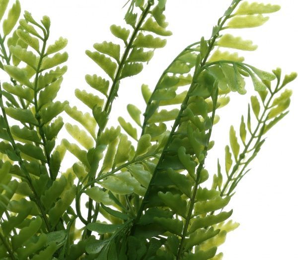 Растение искусственное Папоротник Оноклея PFC(NL)-968