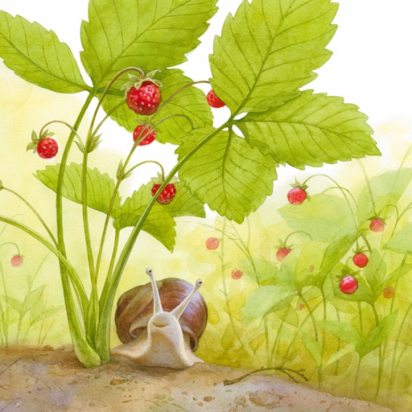 Книга Наталья Чуб «Два червячка» 978-617-09-3748-3