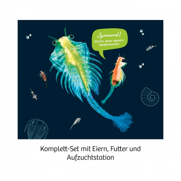 Набор для опытов Kosmos Морские создания (Sea Dogs) 616779