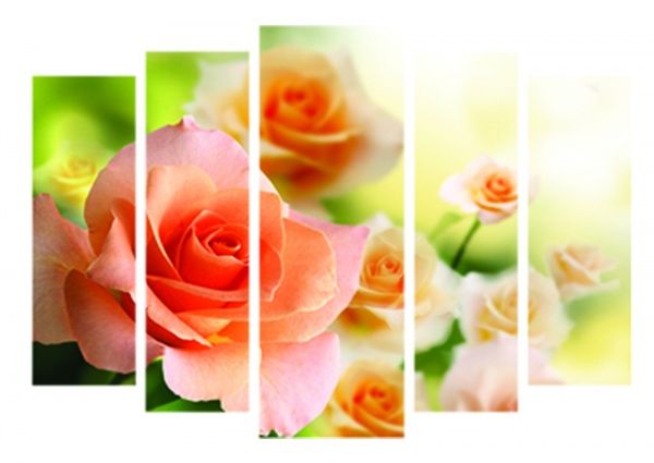 Картина модульная C 896 Розы 118x80 см 