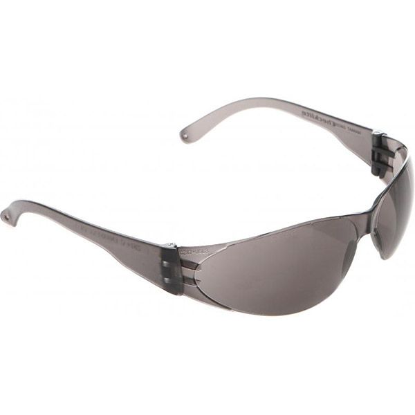 Очки защитные Reis MCR-CHECKLITE SS