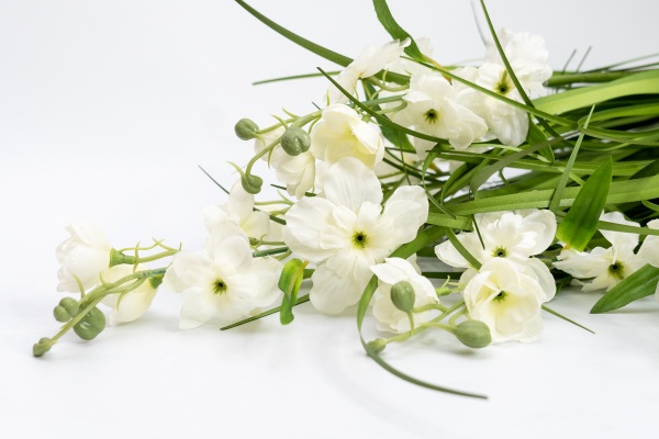 Растение декоративное Окопник белый в горшке 75 см Девилон