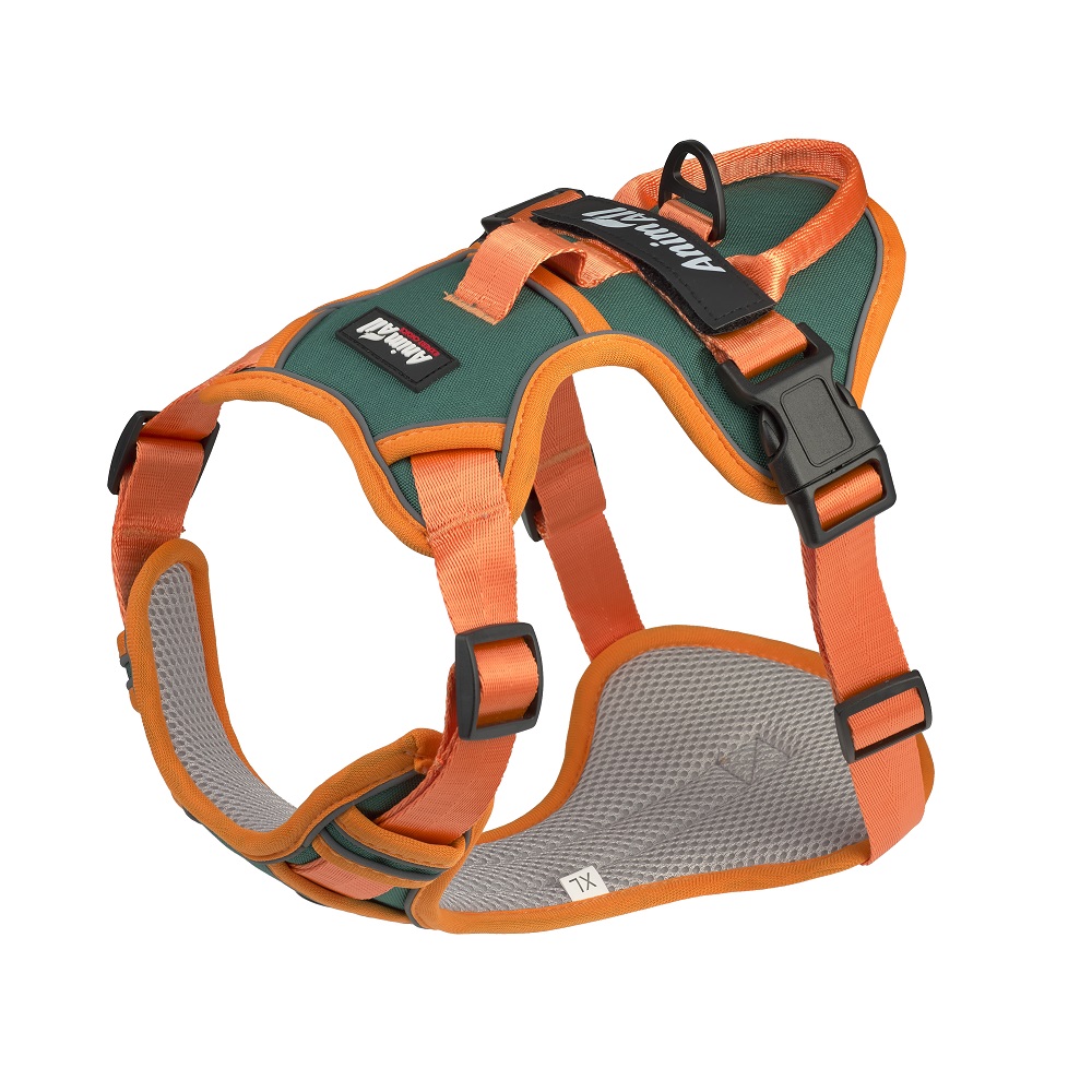 Шлейка анатомічна для собак AnimAll XL 77-100 см зелена/помаранчева