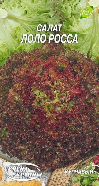 Насіння Семена Украины салат Лоло Росса 1 г