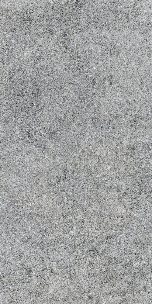 Плитка Allore Group Granito Grey F P R Mat 60х120 см