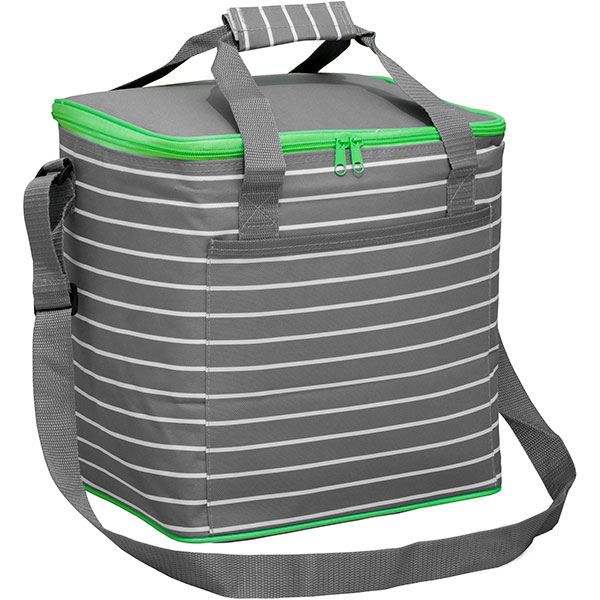 Сумка изотермическая Time Eco TE-3021 20 л