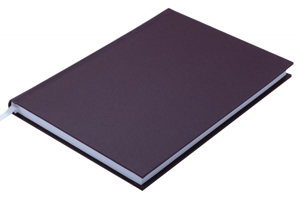 Дневник недатированный MONOCHROME бордовый Buromax A5 BM.2055-13