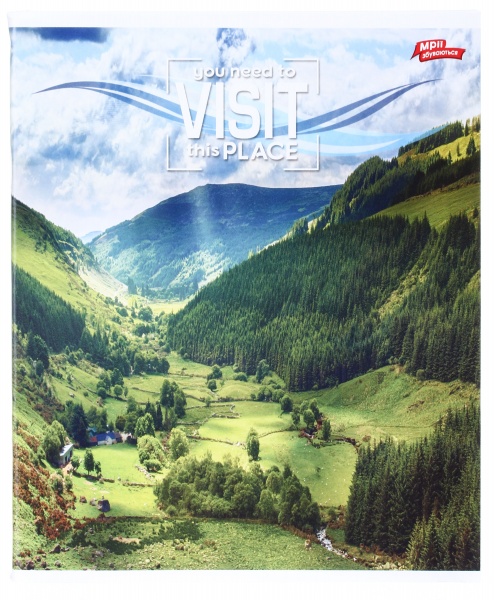 Тетрадь школьная 96 листов в линейку в ассортименте Мечты сбываются