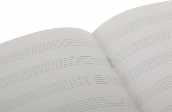 Тетрадь для нот Музыкальные 5 12 листов в ассортименте