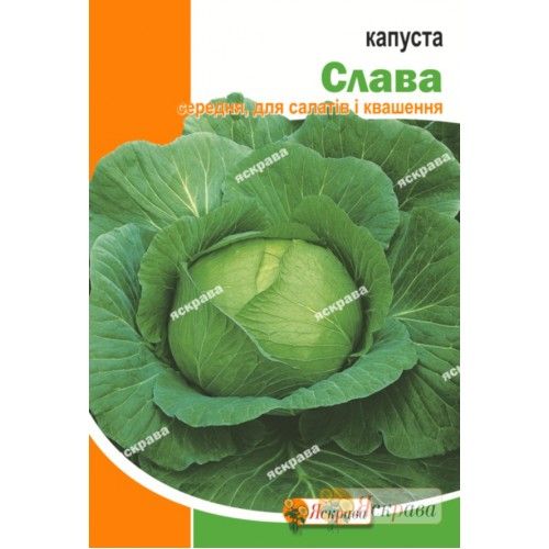 Семена Яскрава капуста белокочанная Слава пакет гигант 10г (4823069806712)