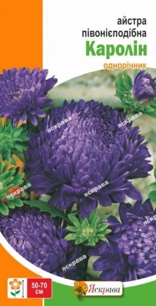 Семена Яскрава астра Каролин пионоподобная синяя 0,3 г