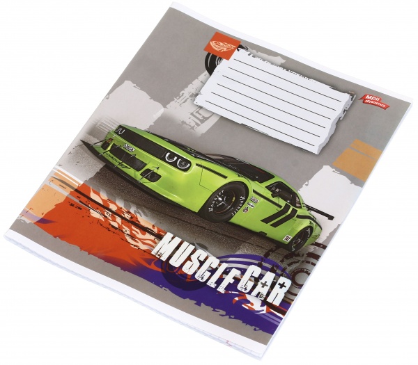 Тетрадь школьная уф-лак 48 листов в клеточку в ассортименте Мечты сбываются