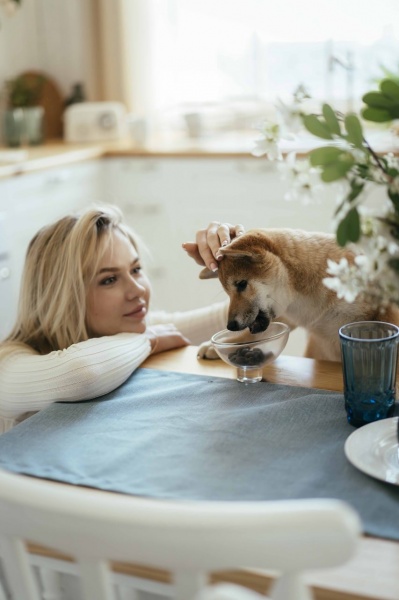 Лакомство Savory для здорового роста щенков_Ягненок и облепиха 200 г