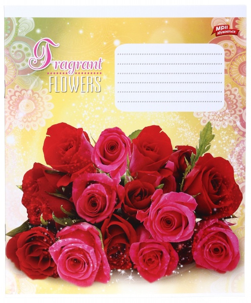 Зошит шкільний 24 аркуша у клітинку в асортименті Мрії збуваються