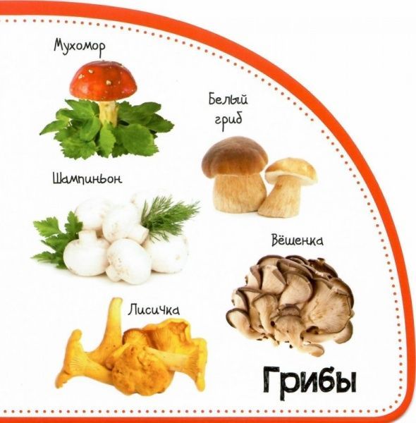 Книга Мария Жученко «Овощи и фрукты. Смотрим и запоминаем» 978-966-942-078-7