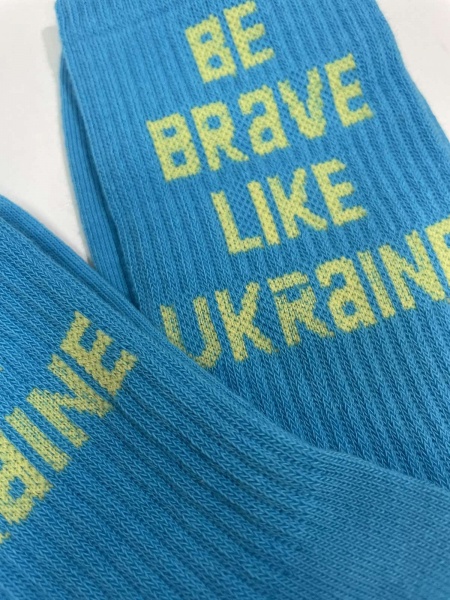 Шкарпетки чоловічі Cool Socks Be Brave 17871 р. 43-46 блакитний 1 пар 