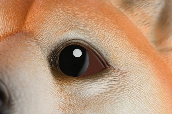 Іграшка-рукавичка Same Toy Собака X325UT