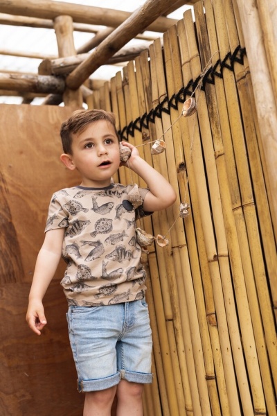 Футболка для мальчиков Koko Noko р.116 песочный T46886-37 