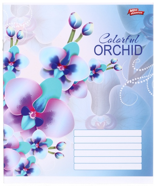 Тетрадь школьная 24 листа в линейку в ассортименте Мечты сбываются