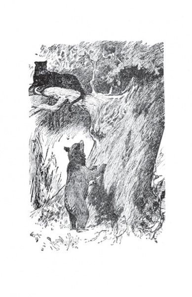 Книга Редьярд Киплинг «Маугли (на двух языках)» 978-617-660-257-6
