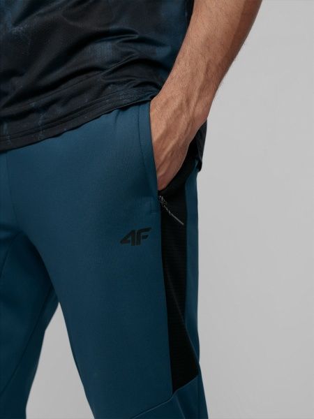 Штани 4F D4L21-SPMTR201-32S р. XL синій