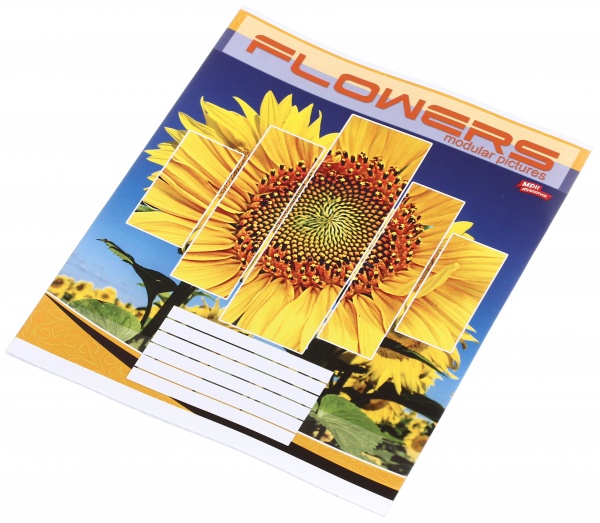 Зошит шкільний 24 аркуша у клітинку в асортименті Мрії збуваються