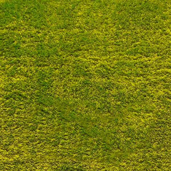 Ковролин Карат Fantasy runner 12000/130 4 м