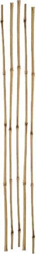 Бамбукова палка 295-300 см 1 шт.