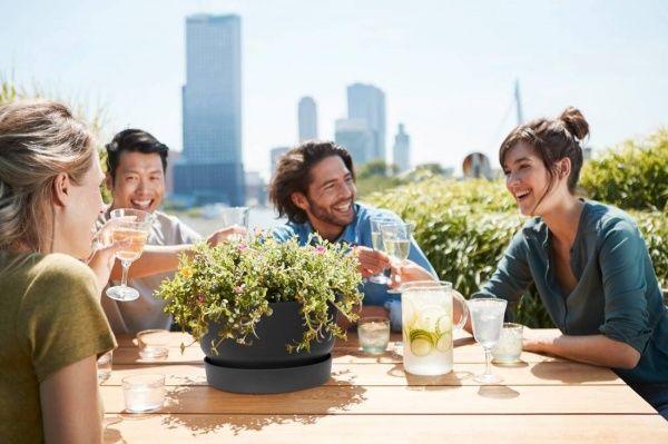 Вазон пластиковый Elho Greenville Bowl 33 см круглый 11,6 л графит (332365) 