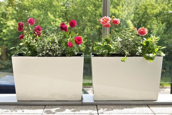 Горщик для квітів Lamela Вербена прямокутний 37,5л кремовий 