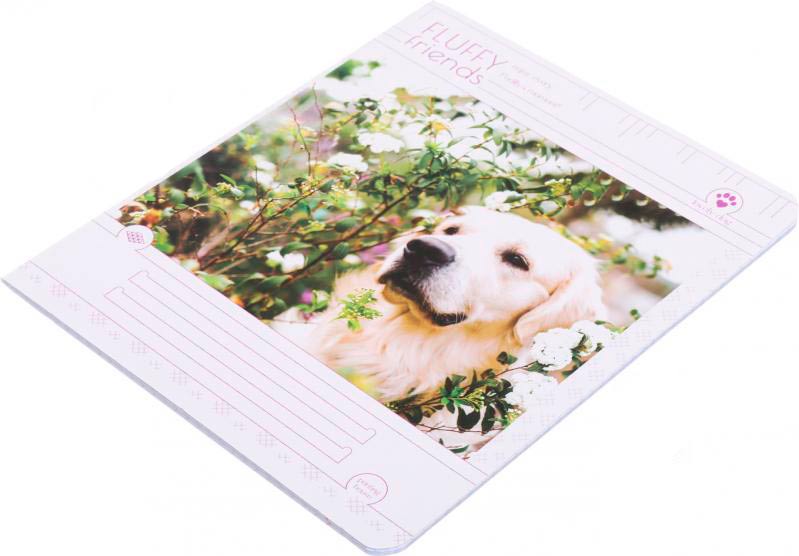 Тетрадь школьная 24 листа в клетку УФ-лак в ассортименте