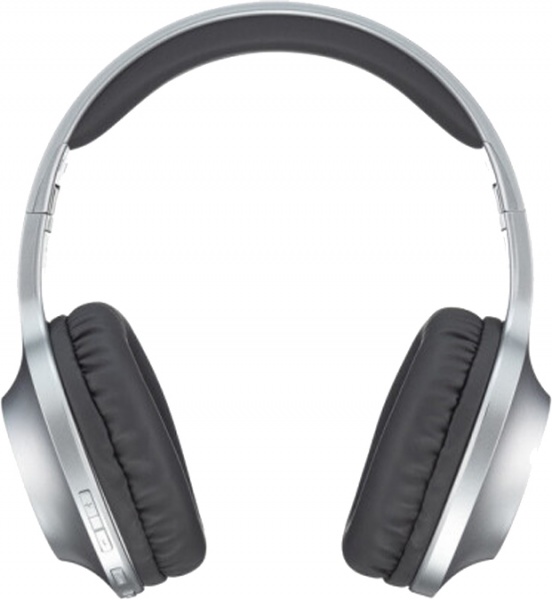 Навушники Panasonic RB-HX220BEES grey (RB-HX220BEES) 