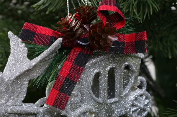 Декоративна підвіска Карета з декором 15x8x4 см срібло LD21028S