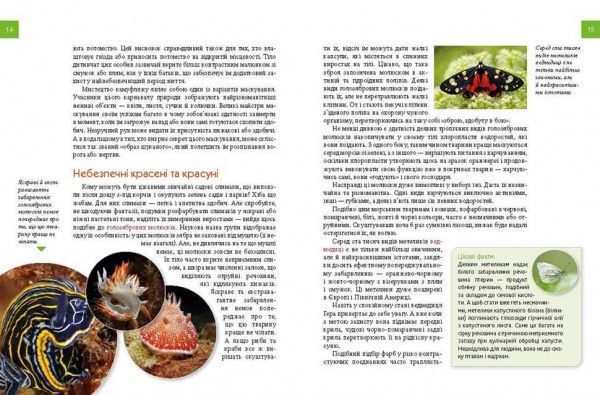 Книга «Тварини – модники й обманщики» 978-966-935-312-2