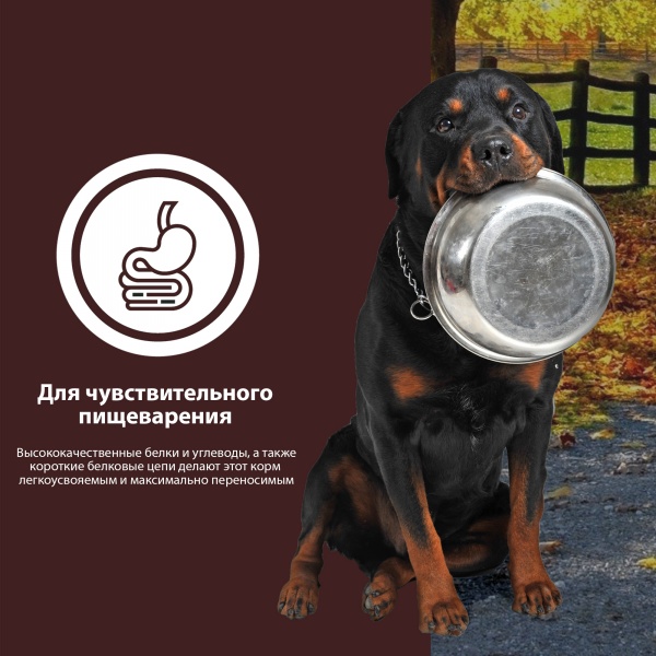 Корм сухой для собак для всех пород German Shephy Gold Turkey Индейка и картошка 10 кг